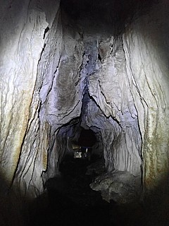 Kepler
Photo:&nbsp;Peggy 
2024-05-07&nbsp;14.24.28&nbsp;Photo:&nbsp;'2024 May 07 14:24'
Original size:&nbsp;3,000 x 4,000; 2,173 kB
Filename:&nbsp;'2024-05-07 14.24.28 P5070438 Peggy - Kepler'