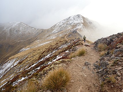 Kelpler alpine section
Photo:&nbsp;Peggy 
2024-05-08&nbsp;10.25.55&nbsp;Photo:&nbsp;'2024 May 08 10:25'
Original size:&nbsp;4,000 x 3,000; 2,516 kB
Filename:&nbsp;'2024-05-08 10.25.55 P5080498 Peggy - Kelpler alpine section'