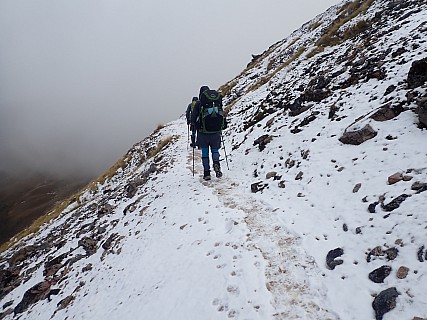 Kelpler alpine section
Photo:&nbsp;Peggy 
2024-05-08&nbsp;10.33.13&nbsp;Photo:&nbsp;'2024 May 08 10:33'
Original size:&nbsp;4,000 x 3,000; 2,431 kB
Filename:&nbsp;'2024-05-08 10.33.13 P5080501 Peggy - Kelpler alpine section'