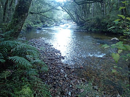 Kepler
Photo:&nbsp;Peggy 
2024-05-09&nbsp;09.23.09&nbsp;Photo:&nbsp;'2024 May 09 09:23'
Original size:&nbsp;4,000 x 3,000; 2,847 kB
Filename:&nbsp;'2024-05-09 09.23.09 P5090535 Peggy - Kepler'