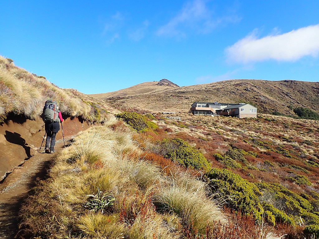 click on the photo to download the original image

2024-05-07 12.26.33 P5070422 Peggy - Kelper