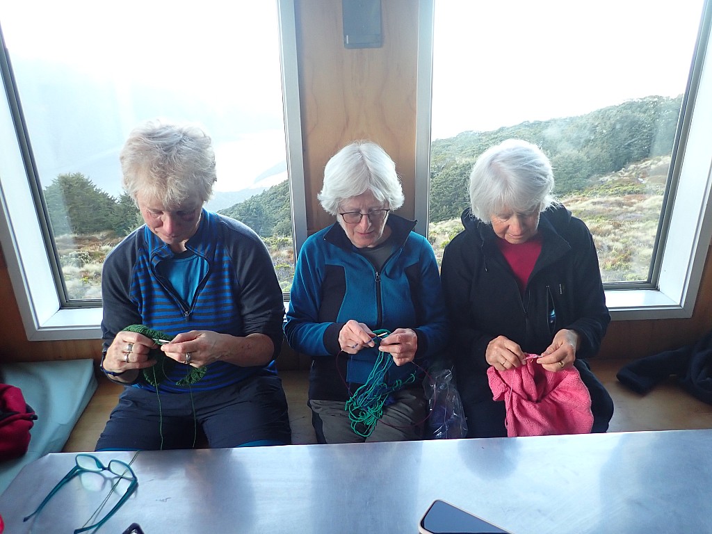 click on the photo to download the original image

2024-05-07 17.01.55 P5070454 Peggy - Kepler