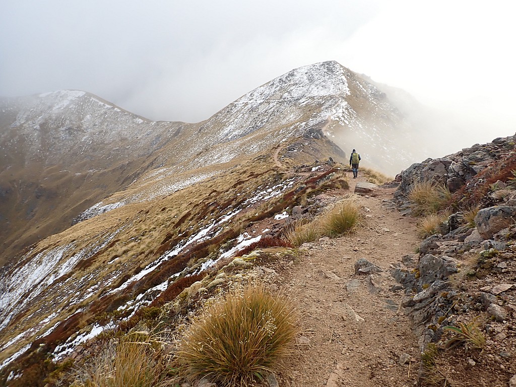 click on the photo to download the original image

2024-05-08 10.25.55 P5080498 Peggy - Kelpler alpine section