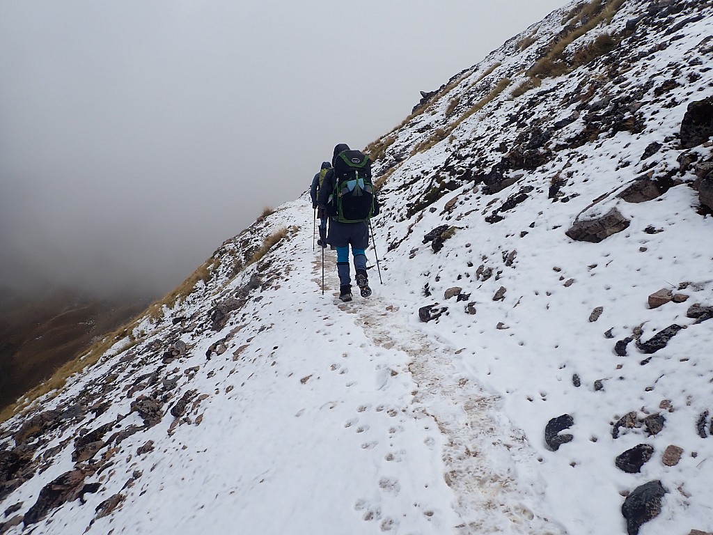 click on the photo to download the original image

2024-05-08 10.33.13 P5080501 Peggy - Kelpler alpine section