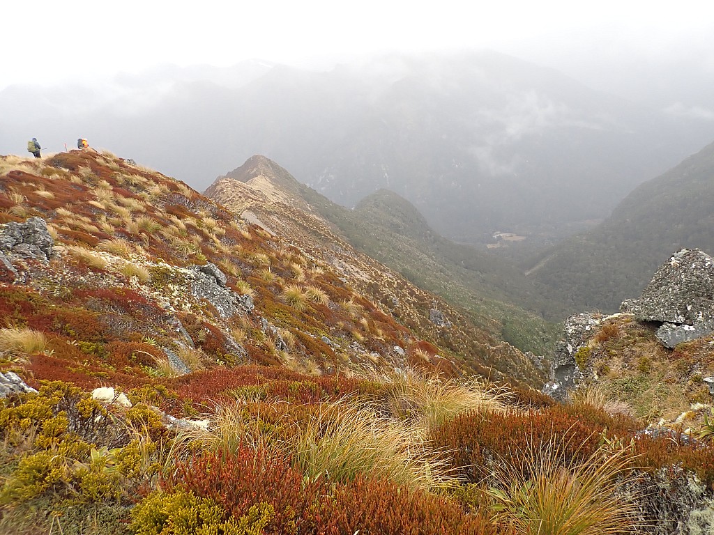 click on the photo to download the original image

2024-05-08 11.31.33 P5080516 Peggy - Descending to Iris Burn Hut
