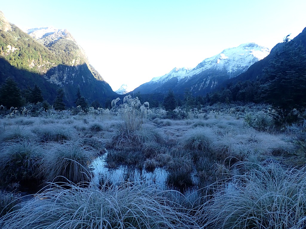 click on the photo to download the original image

2024-05-09 09.09.37 P5090534 Peggy - Kepler