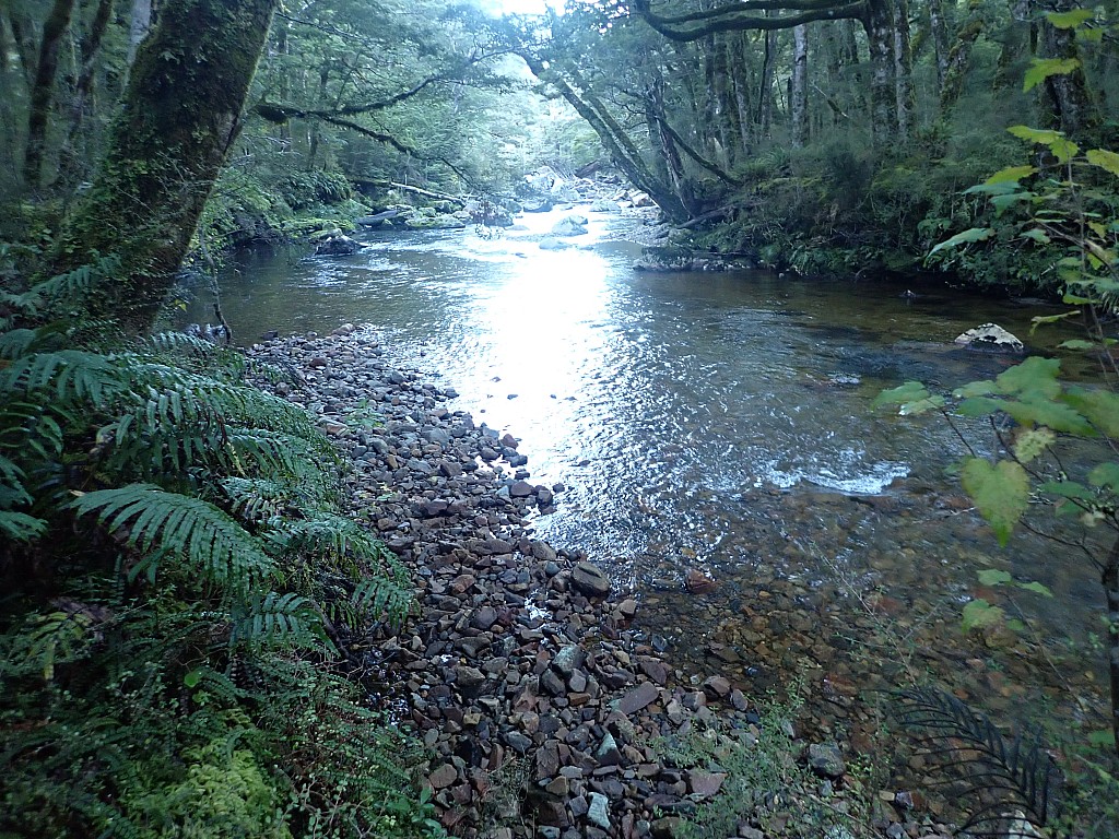 click on the photo to download the original image

2024-05-09 09.23.09 P5090535 Peggy - Kepler