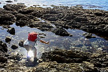 click to see gallery

The Sun Shines Out Of  
Photo:&nbsp;Judy Alexander
Photo:&nbsp;'2025 Apr 13 16:24'
Original size:&nbsp;3,888 x 2,592; 4,809 kB
Filename:&nbsp;'HUM TararuaTC Judy Alexander The Sun Shines Out Of .......'