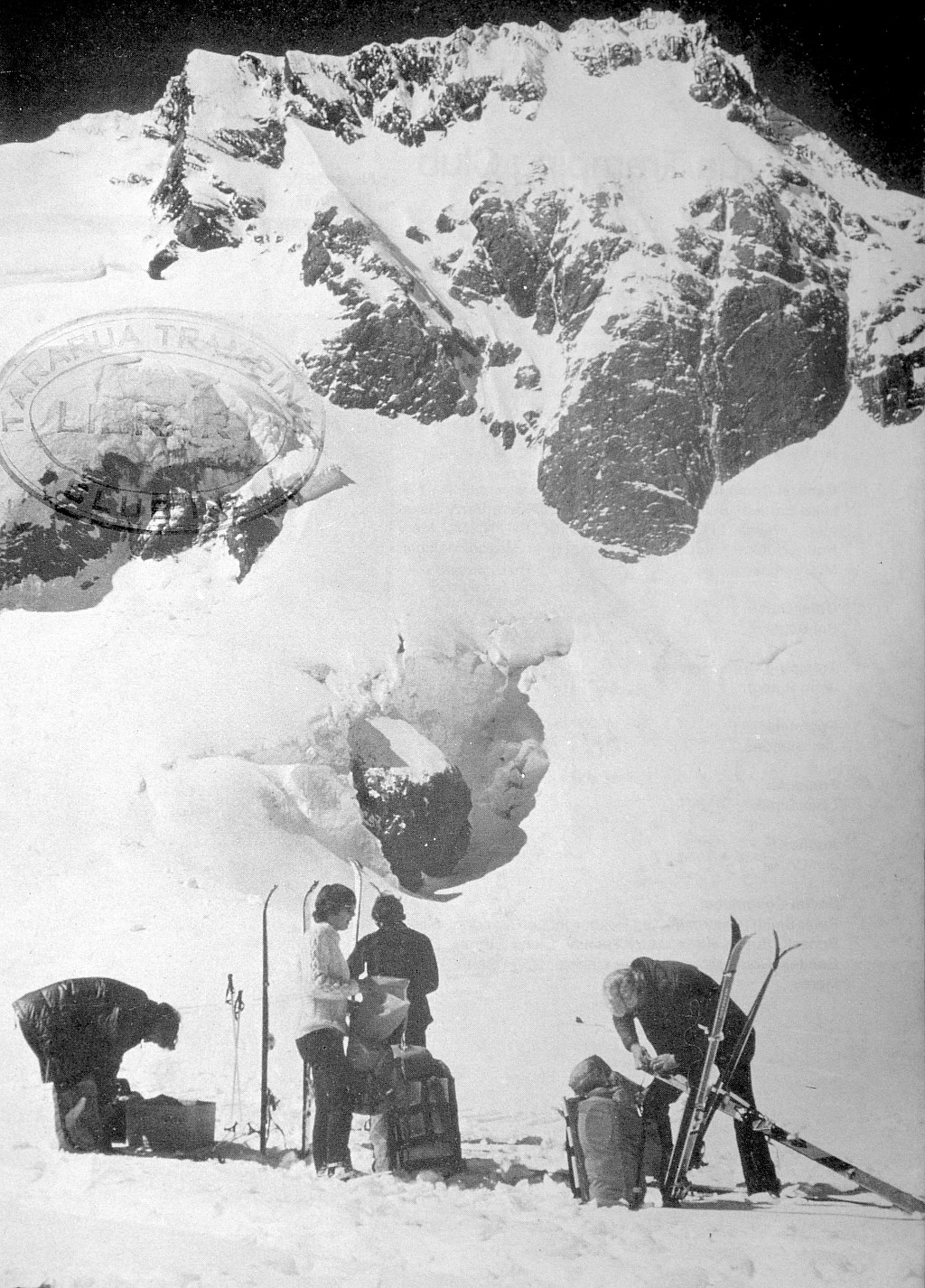 click on the photo to download the original image

Haidinger from Fox Glacier - Hugh Barr