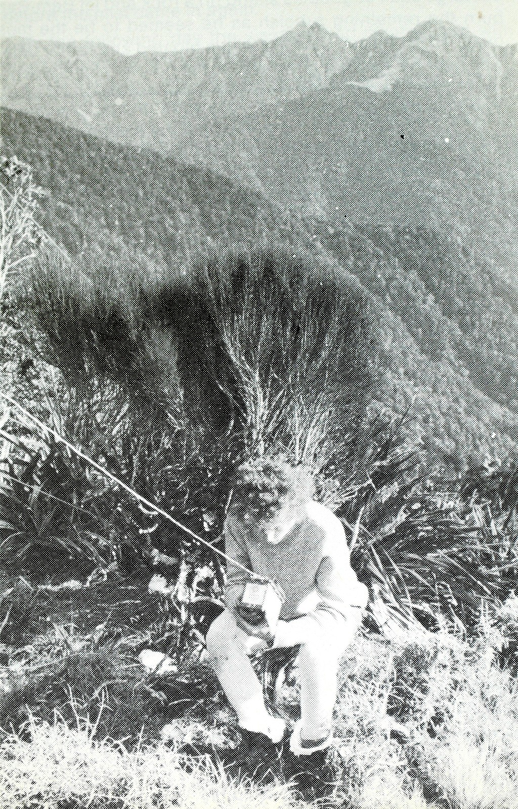 click on the photo to download the original image

On Cone Looking Towards Tararua Peaks - Brian Hunt WTMC