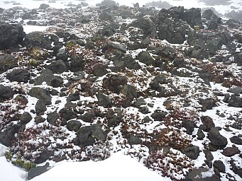 2009-10-09 13.33.11 P1000424 Simon.jpeg: 4000x3000, 6935k (2014 Jul 21 07:21)