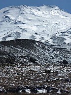 2010-11-07 09.32.44 P1010649 Simon.jpeg: 3000x4000, 5877k (2014 Jul 21 07:23)