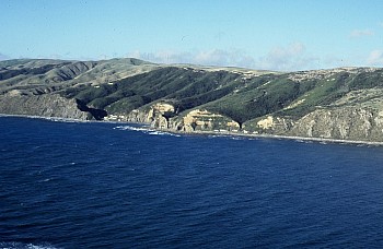 Coast north of Makara Estuary, Owhariu Bay, photograph by Barbara Mitcalfe