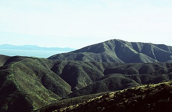 Outlook Hill, 537 m, Terawhiti Station, photograph by Barbara Mitcalfe