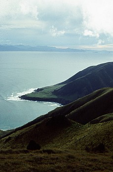 Tongue Point, Raukawa/Cook Strait, and Te Waipounamu/South Island, photograph by Barbara Mitcalfe