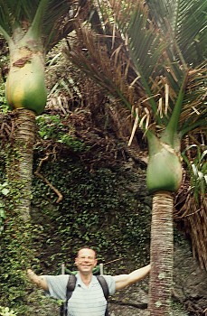 Gary James with two nikau, 'Breakneck Creek', photograph by Barbara Mitcalfe