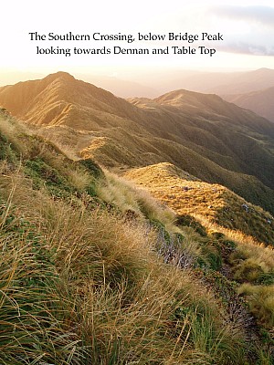 The Southern Crossing today