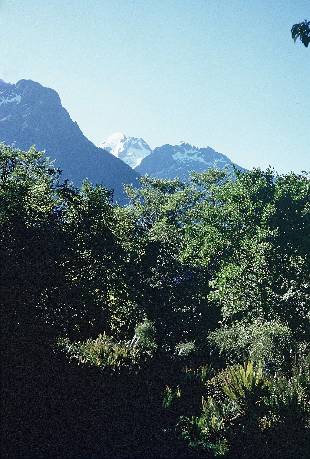 click on the photo to download the original image

000003
