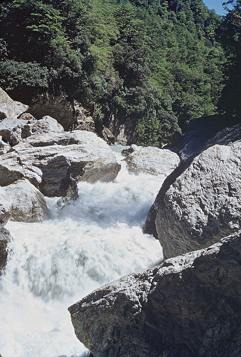 click on the photo to download the original image

000031