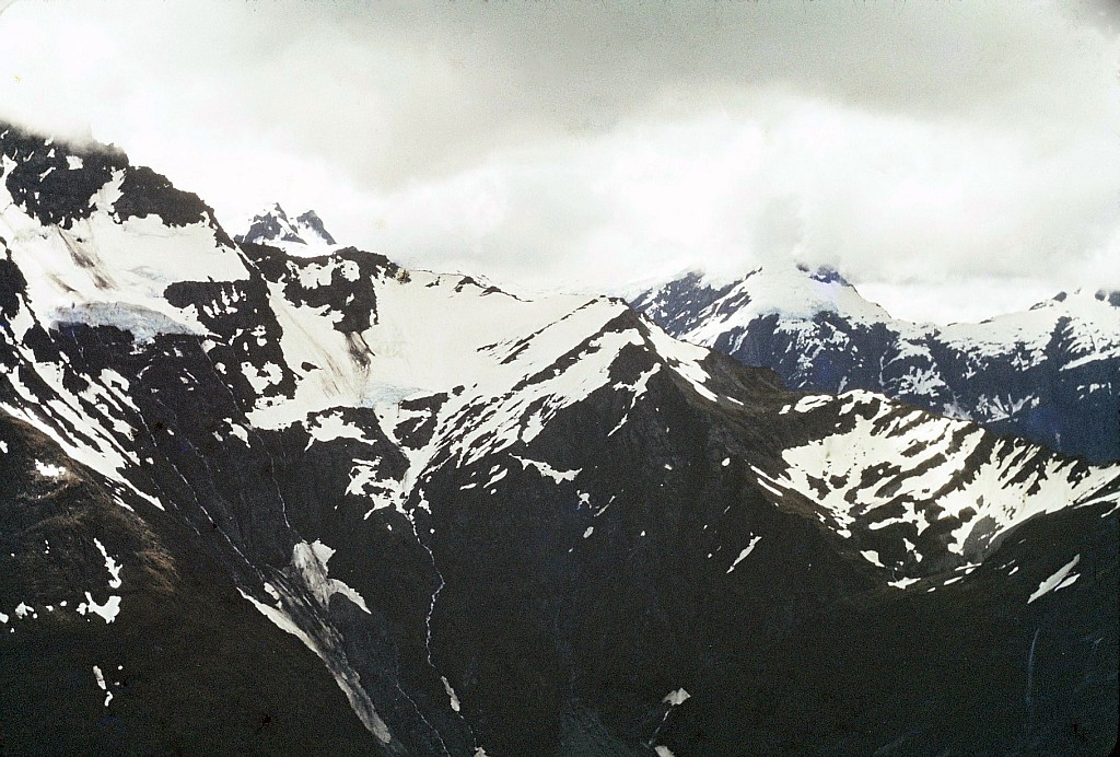 click on the photo to download the original image

000028