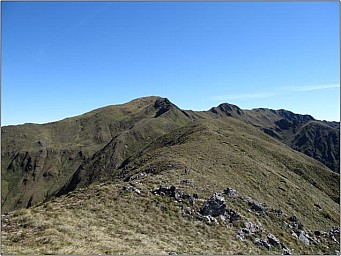 False2.jpg: 636x478, 51k (2014 Jul 21 07:46)