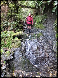 McG_2.jpg: 430x572, 74k (2014 Jul 21 07:47)