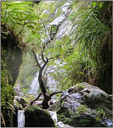 McG_4.jpg: 486x552, 61k (2014 Jul 21 07:47)