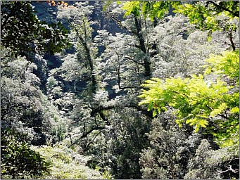 click to see gallery

Waiohine  2
Original size:&nbsp;754 x 566; 153 kB
Filename:&nbsp;'Waiohine_2'