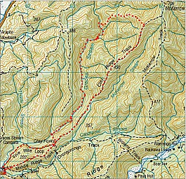 Grace1.jpg: 963x930, 319k (2017 Apr 04 02:17)