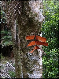 Grace2.jpg: 531x703, 99k (2017 Apr 04 02:17)