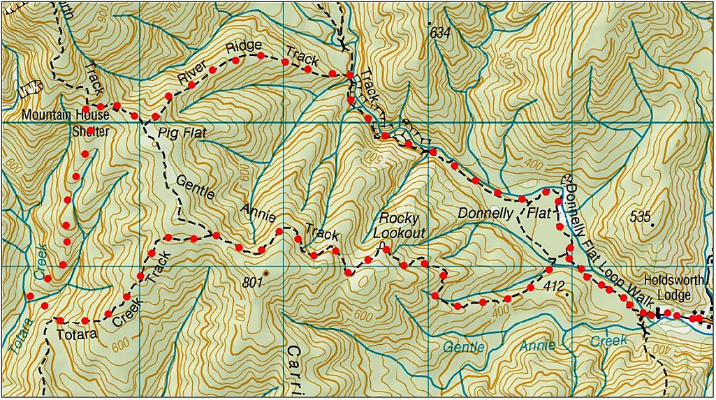 click on the photo to download the original image

totara Creek1