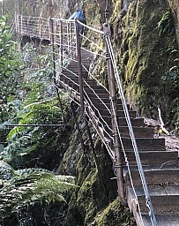 Waiho2.jpg: 503x635, 218k (2020 Aug 23 00:00)