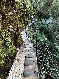 waiho5.jpg: 451x601, 166k (2020 Aug 23 00:00)