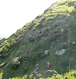 TeAraroa1.jpg: 491x509, 81k (2020 Sep 26 00:00)