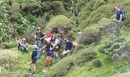 TeAraroa2.jpg: 649x384, 131k (2020 Sep 26 00:00)