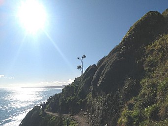 TeAraroa3.png: 990x742, 902k (2020 Sep 26 00:00)