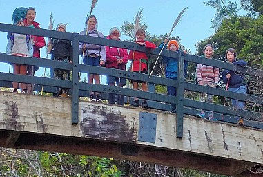 Waerenga2.png: 1190x800, 2133k (2021 May 31 13:17)