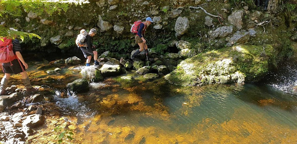 click on the photo to download the original image

orongorongo2