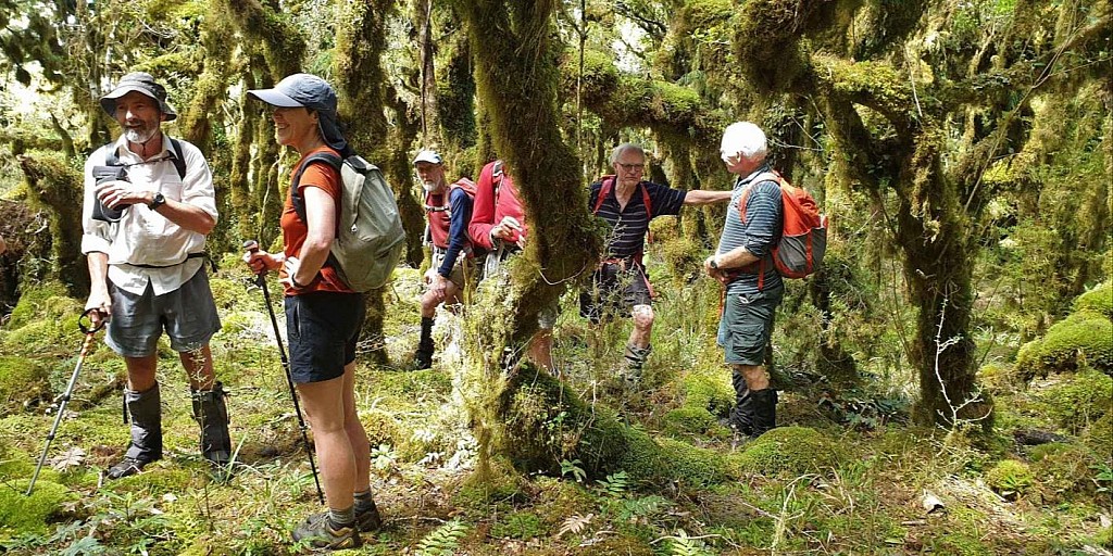 click on the photo to download the original image

orongorongo3