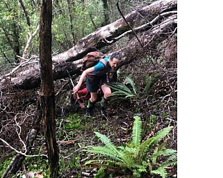 Kaitoke1.jpg: 819x653, 230k (2022 Feb 08 09:06)