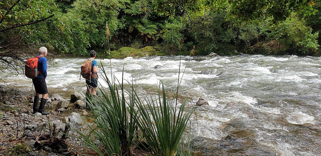 click on the photo to download the original image

Kaitoke3