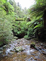 Tight3.jpg: 702x937, 284k (2022 Mar 05 23:58)