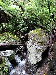 Tight4.jpg: 705x941, 328k (2022 Mar 05 23:58)