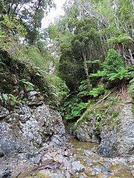 Turere2.jpg: 719x954, 352k (2022 Apr 14 02:18)