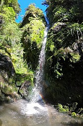 McGreggor1.jpg: 414x631, 156k (2022 May 05 09:02)