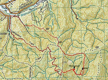 Whakanui1.jpg: 1107x822, 466k (2022 Jun 02 01:13)