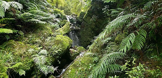 Whakanui2.jpg: 1416x687, 531k (2022 Jun 02 01:13)