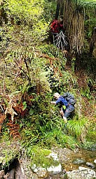 Whakanui3.jpg: 1009x1890, 1039k (2022 Jun 02 01:13)