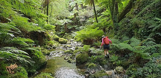 Whakanui4.jpg: 2077x1009, 785k (2022 Jun 02 22:24)