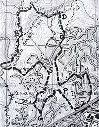 Korokoro1.jpg: 905x1160, 346k (2022 Jun 02 09:04)